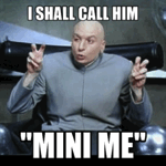 Mini me or Mini Me, we did it too as it's irresistible really