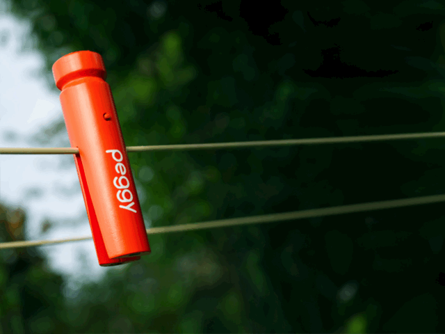 Seriously A Connected Clothes Peg