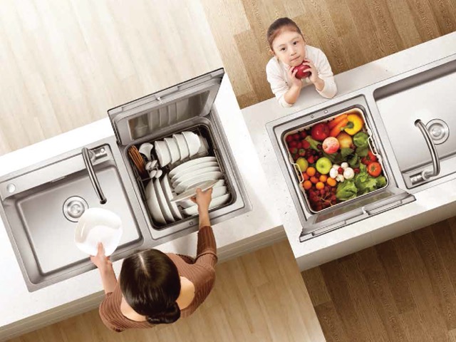 Fotile In-Sink Dishwasher