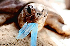 Are washing machines polluting our oceans?