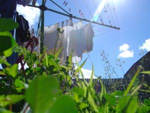 Line drying and not a tumble dryer is the ecological way to dry your laundry