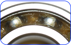 Inside a washing machine bearing