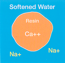 The ion exchange removes calcium from the water that causes limescale