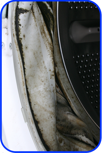 Black mildew marks on a washing machine door seal