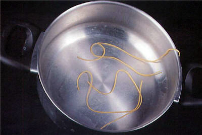 Poor cleaning in a dishwasher where the dishes are not properly cleaned