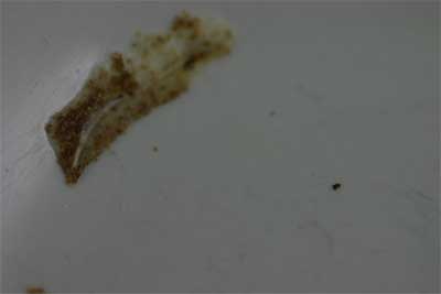 dishwasher residues which is actually burnt on food