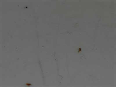 dishwasher not cleaning properly?