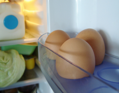 inside the fridge with a view of the egg rack