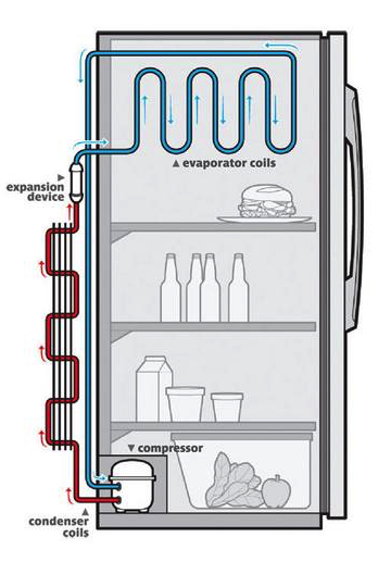 The basic principle of how a fridge works