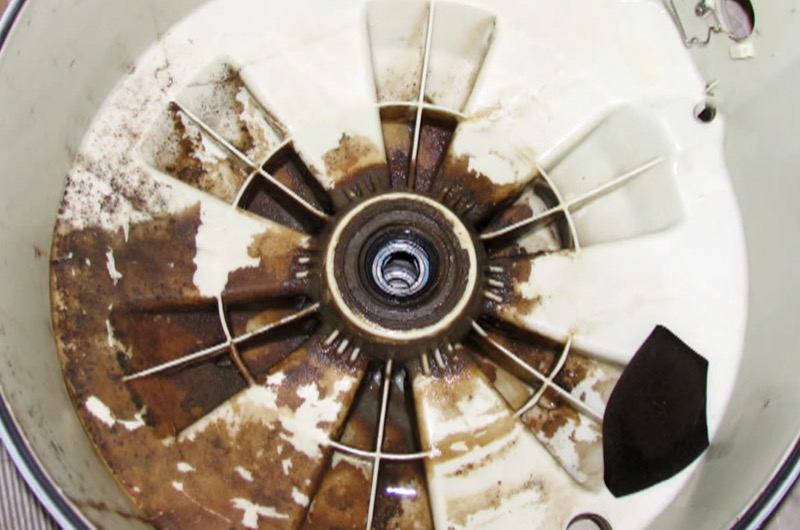 mould biofilm in washing machine outer tank