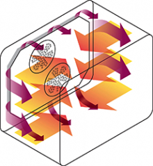 How an oven fan motor directs hot air into the oven cavity