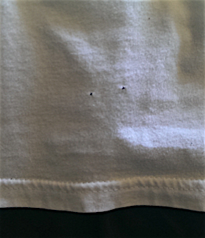 Small holes appearing in clothing is a common phenomena these days