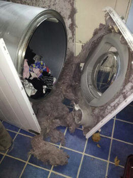 Typical lint or fluff build up in a tumble dryer that is a fire risk