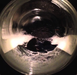 Washing machine during the rinsing phase of the program