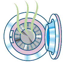 Bad smells and odours from washing machines and how to solve the problem