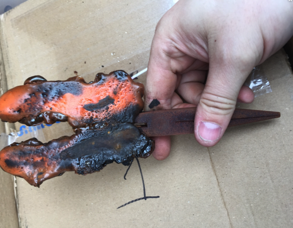 tripping electrics after new hotplate fitted